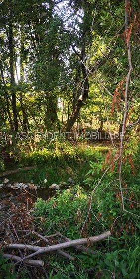 FILM! Constructie rustica tip Casa Verde, cu parau si panorama impresionanta, Mo - 17