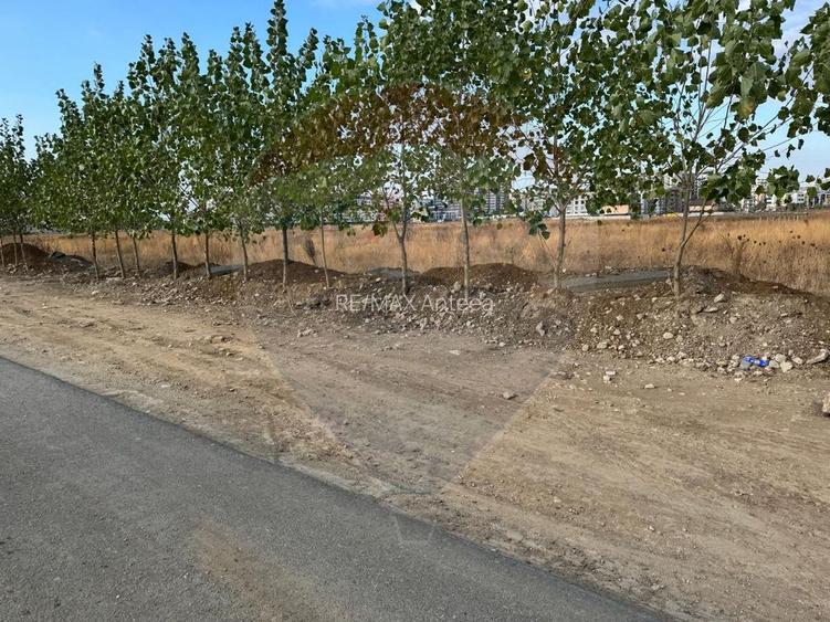 Teren 9400 mp Strada Gura solcii - 10