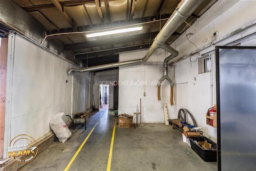 Complex industrial modern,acces dublu, potential apreciabil,Valea Crișului, - 12