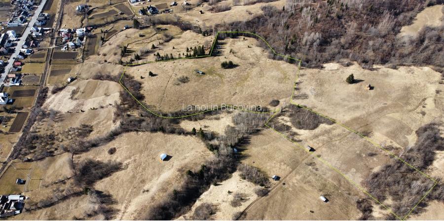 Vindem 53360 mp Bucovina - Vama - 2