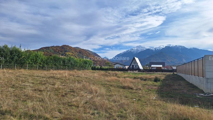 Teren 1000mp cu PUZ in Rasnov, Glajerie - 9