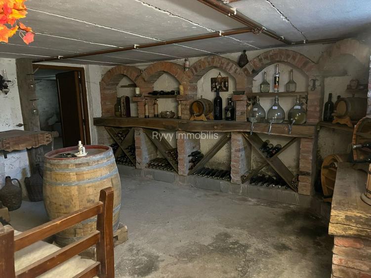 Ocazie unică! Casă de vânzare în stațiunea Covasna! - 21