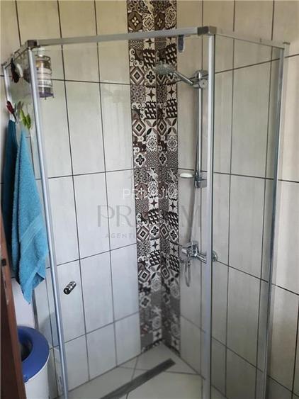 FREIDORF, CASA 4 CAMERE P+1E+POD, 2 BAI, DRESSING, CONSTRUCTII ANEXE - 4