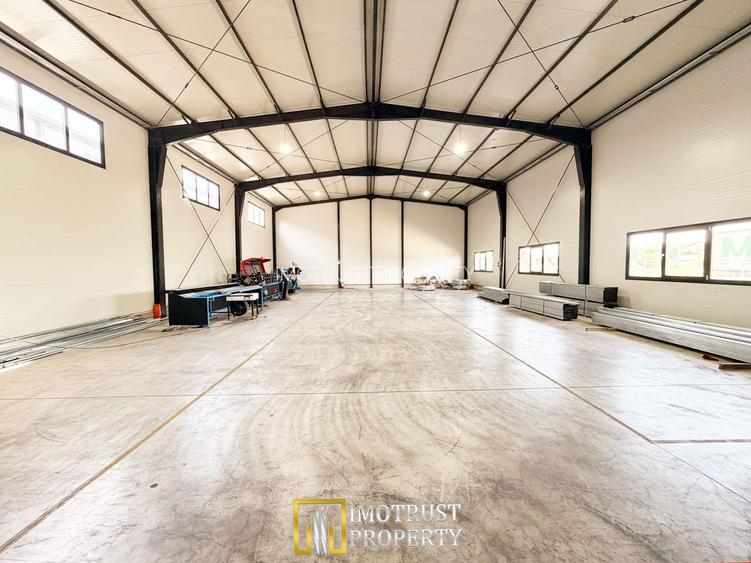 Hala industrială închirere – Vladimirescu, jud. Arad 500 mp - 4