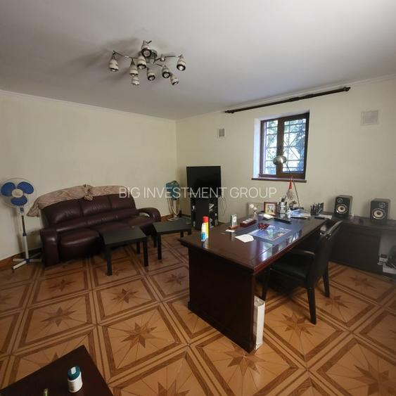 Vila boiereasca, superba, strada, linistita, nelipita de vreun alt imobil - 37