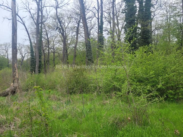 SUPER  OCAZIE TEREN 4000MP DE VANZARE IN SNAGOV CU DESCHIDERE LA LACUL SNAGOV - 4