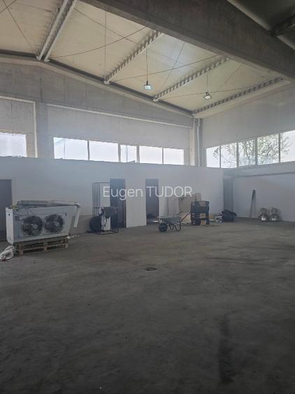 Hala de inchiriat. Depozitare sau productie. - 3
