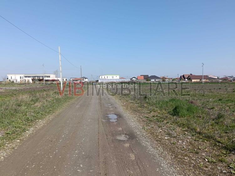 Săcălaz | Parcele teren în PUZ | 600–800 mp | Front 18–20 ml - 4