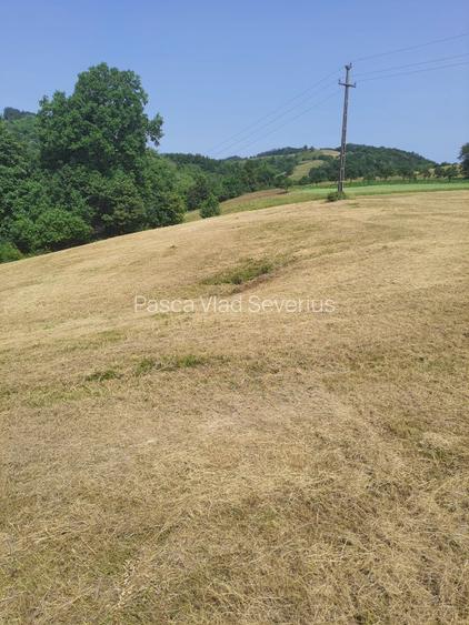 Teren intra si extravilan in Vad, Copalnic-Mănăștur, Maramures - 5