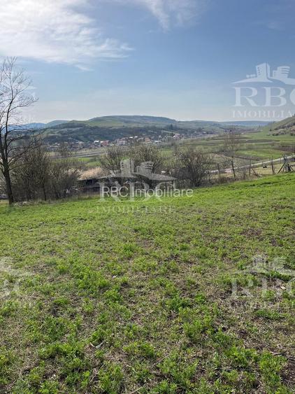 Teren in suprafata de 6300 mp extravilan in Garbau - 2