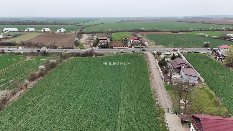 0% | Teren intravilan, 4563 mp, front 25 m, utilitati | Potigrafu PH - 6