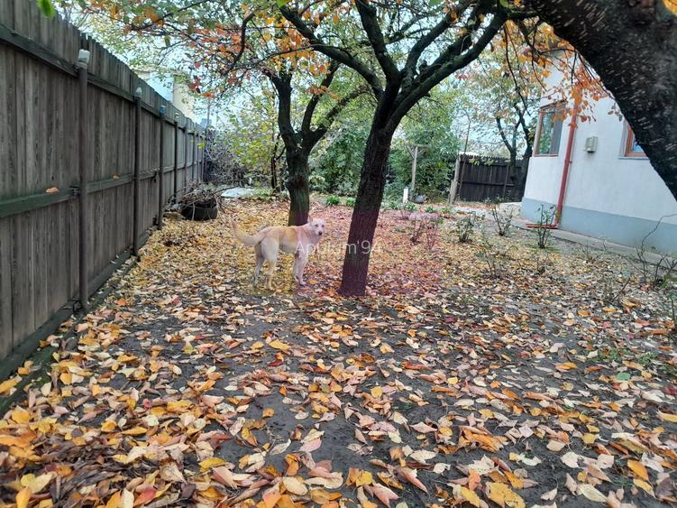 ISLAZ / IF - CASA P+1 (7 CAM) DE VANZARE - 50