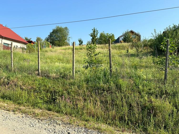 Teren intravilan 880 mp in Cisnadioara - str. Silvicultorilor - 2