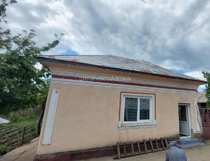 Proprietate cu 2 locuințe + spațiu comercial, 1175 mp teren – Islaz - 6