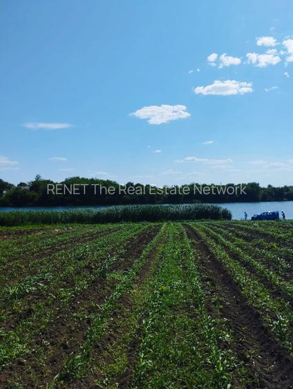 MEGA OCAZIE SE VINDE TEREN 10.600 DE METRI LA PRET DE 6.600 CU DESCHIDRE LA LAC - 7