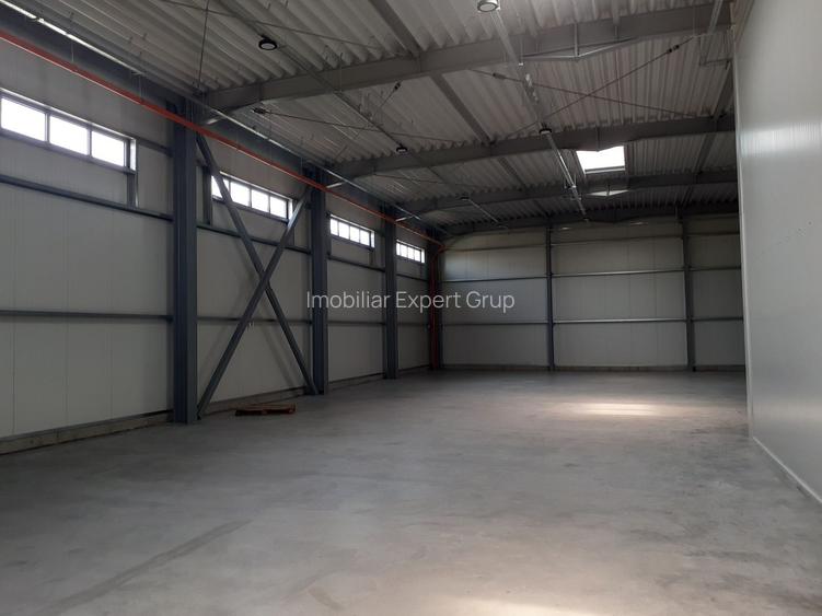 Hala noua in zona Drumul Intre Tarlale - 3