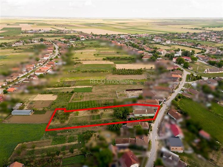 RECO Proprietate cu 2 case si teren mare in Girisu de Cris - 35