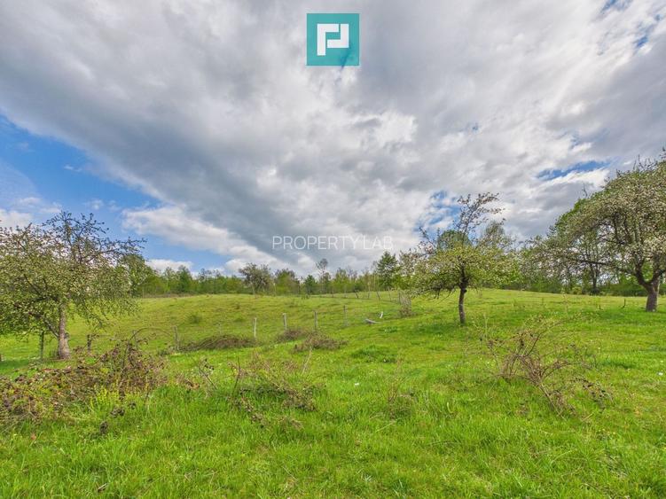 Casă cu teren de 17.681 mp, în loc. Hălmăgel, Arad - 12