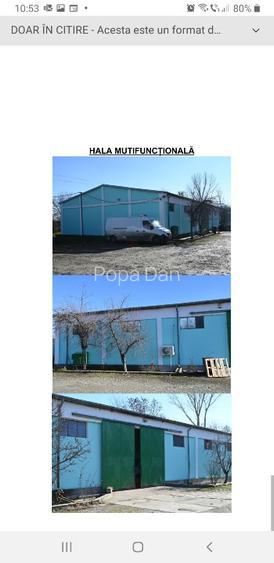 De vanzare ansamblu-hale+teren 6650mp-Craiova - 6