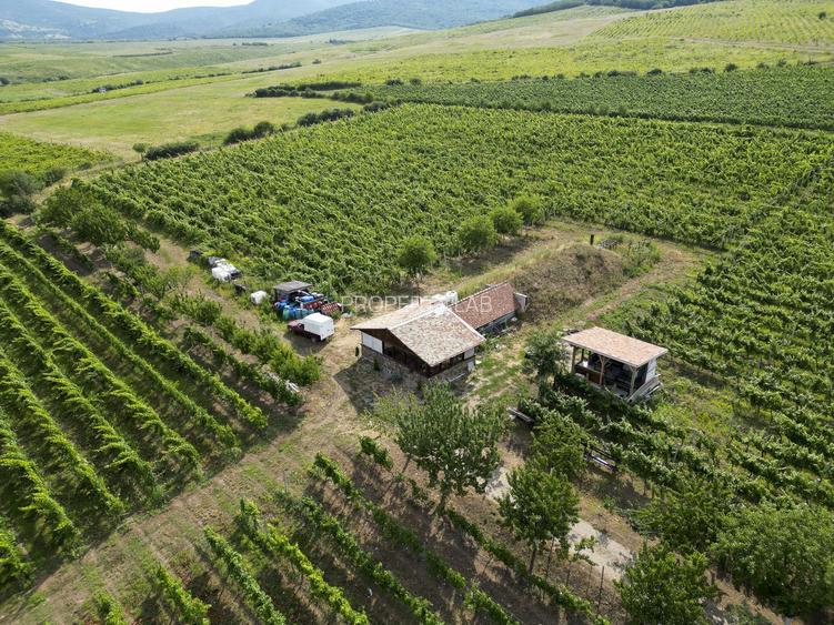 Vie Tradițională „Halta Lupilor” - 23