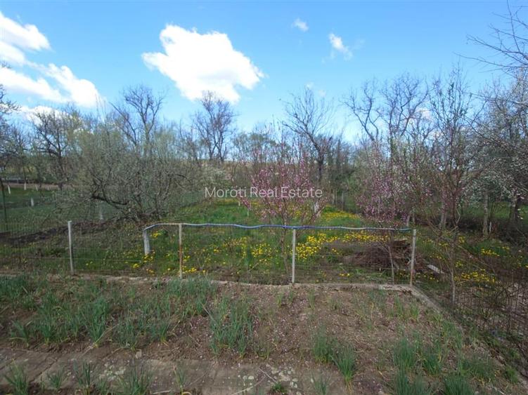 Aici incepe linistea - Casa cu gradina si foisor in Brazii Arad - 19