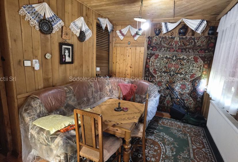 Casa vacanta,investitie  in Gurahont cu teren generos - 15