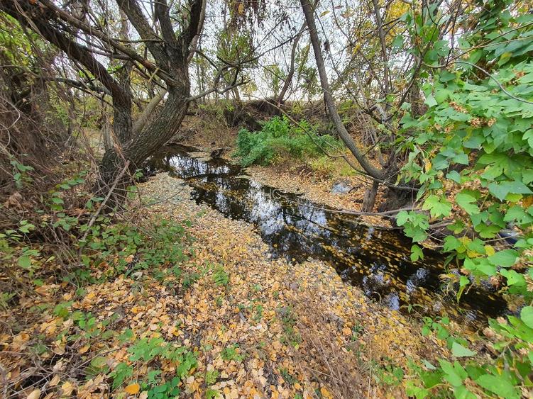 Teren de vânzare “Dumbrava Minunata” în Domnesti, Ilfov - 10