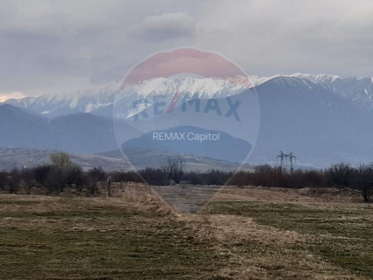 Teren 10,000mp Rasnov / Drumul Panicel - 5