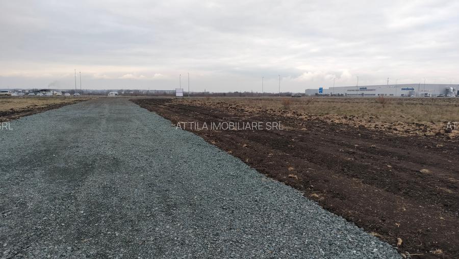 Inchiriez teren 4310 mp in Ghiroda - 4