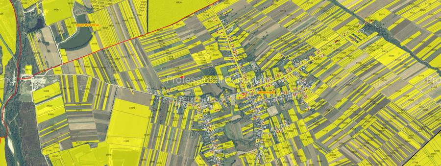 Vanzare Teren 831 mp, Griugiu-Tantava - 3