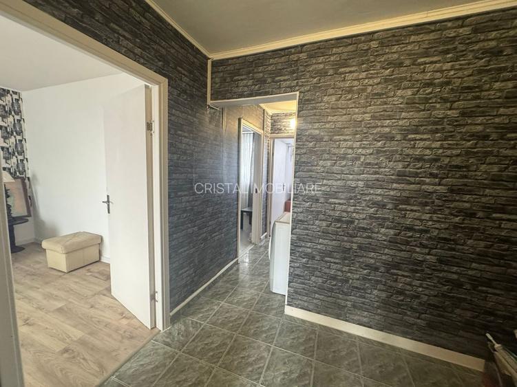 Apartament 3 camere de inchiriat, loc de parcare, Raul Doamnei- Pet Friendly - 7