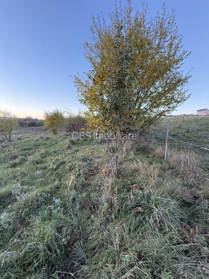 Teren extravilan de vanzare in Salicea 916mp+84mp drum necesita PUZ - 4