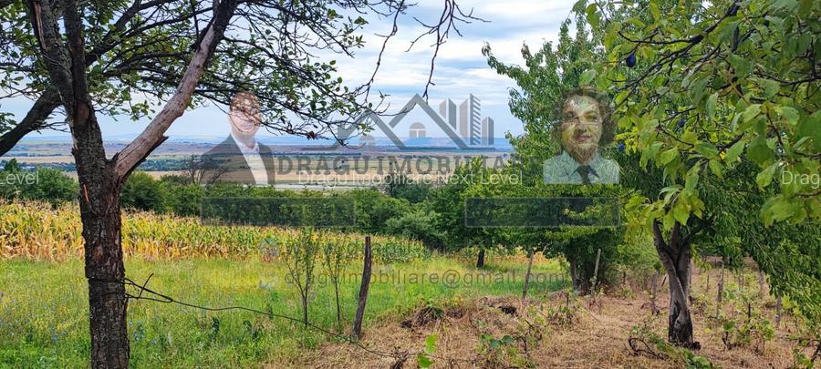 Teren generos 2186 mp cu casă bătrânească – Copăcești, județul Vrancea - 9