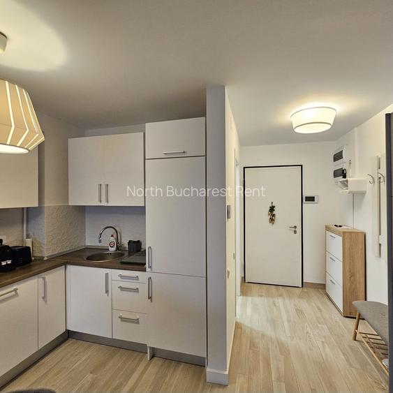 Apartament 2 Camere, Zona Banu Manta - 12