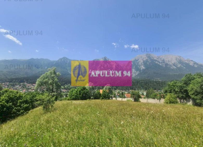 Teren de vânzare în Bușteni - Zona Zamora - 15