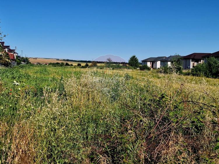 Teren intravilan Piatra Neamt - 16