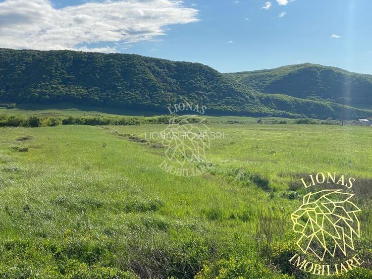 Teren intravilan-Crainimat -3000mp-ideal investitie construire casa - 2