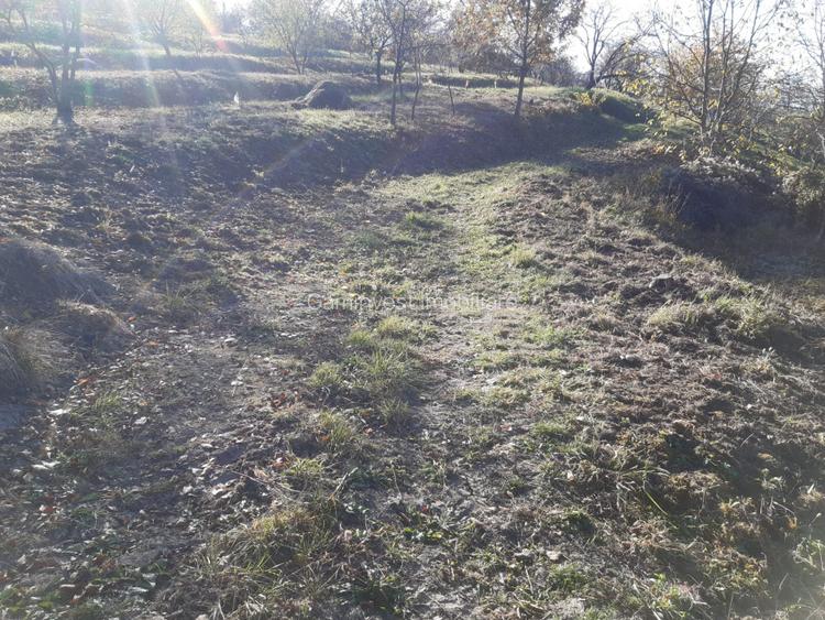 Teren cu acces facil și priveliște panoramică în Podgoria Oradea - 4