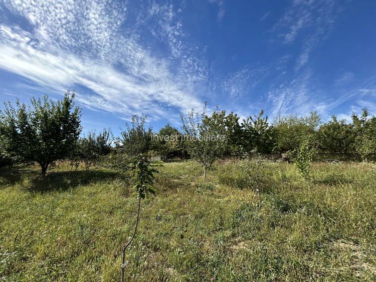 Casa de vanzare, parter 4 camere, garaj, 1424mp teren - Bucium- Vișani, IASI - 3