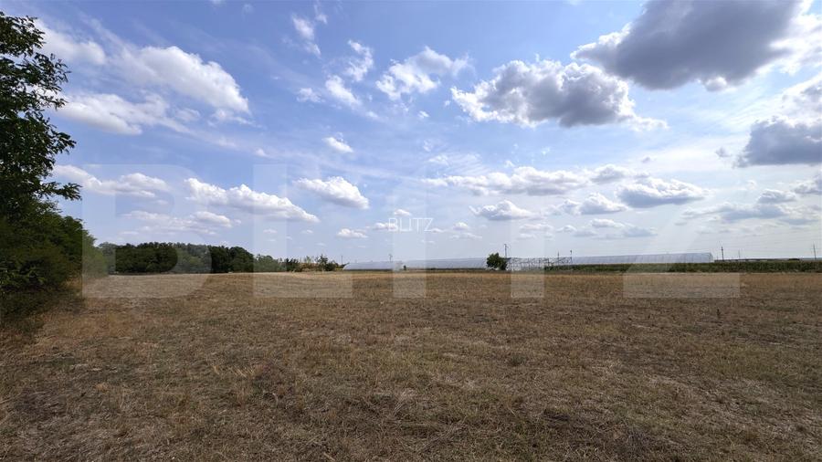 Teren EV si IV cu casa, 29.600 mp, utilitati si acces facil, Albesti - 4