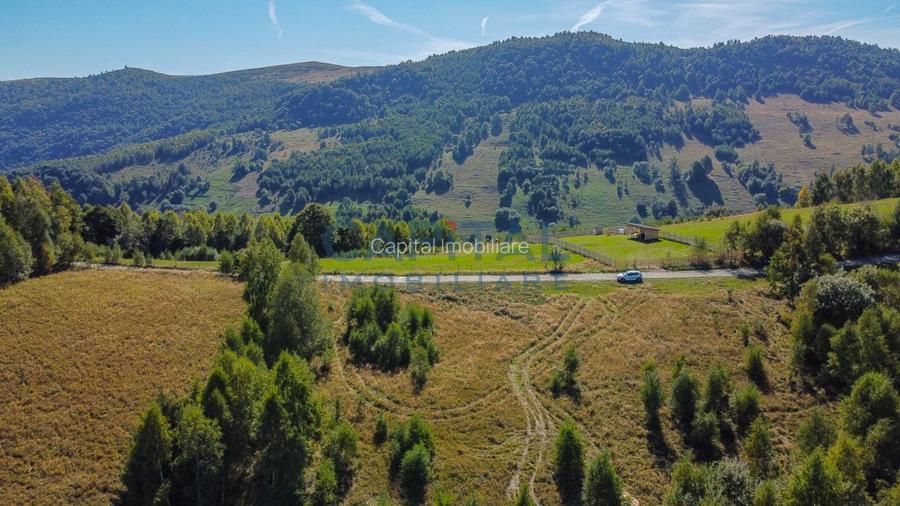 Comision 0% teren intravilan 1000 mp, PUZ, priveliste, Baisoara - 12