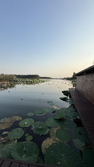 Vila Lac Silistea Snagovului - 18