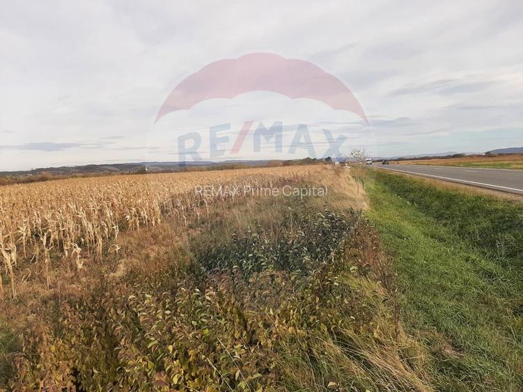 De vânzare teren intravilan, în Săbolciu, cu deschidere la E60 - 4