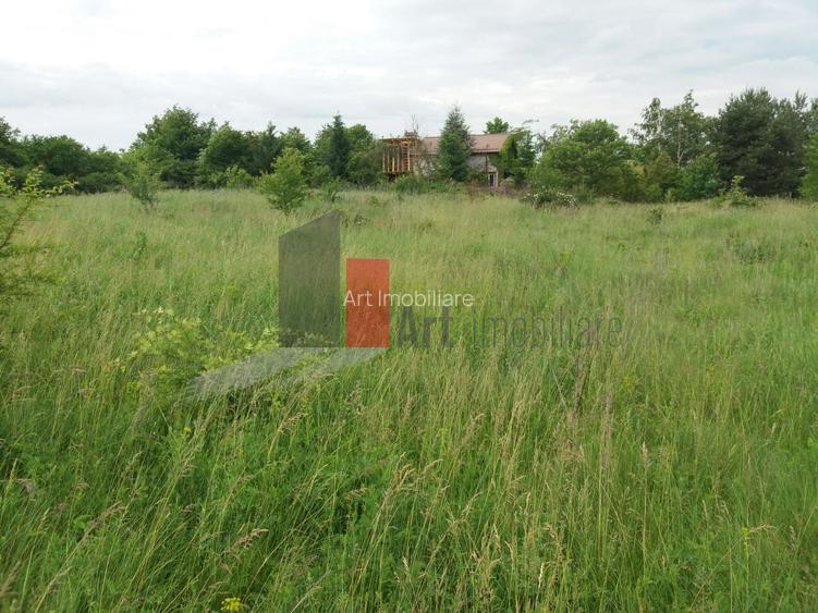 Teren Buftea cu iesire la lac - 26