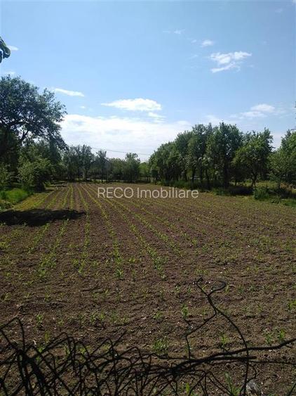 Casa in Talpos,  3 camere - 12