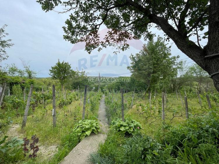 Casă și Teren Generos la Granița cu Republica Moldova! - 24