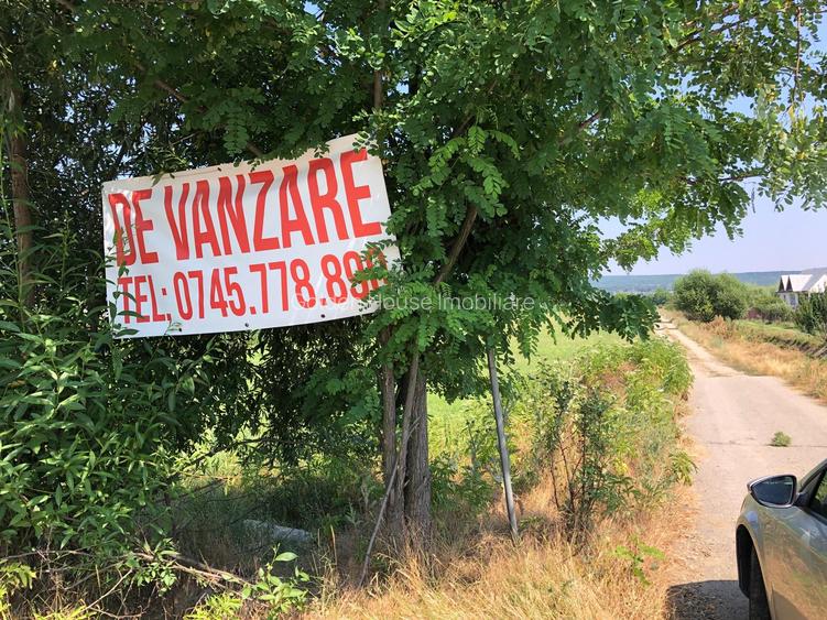 Teren Micesti cu deschidere la DN si drum lateral - 25 euro/mp negociabil - 9