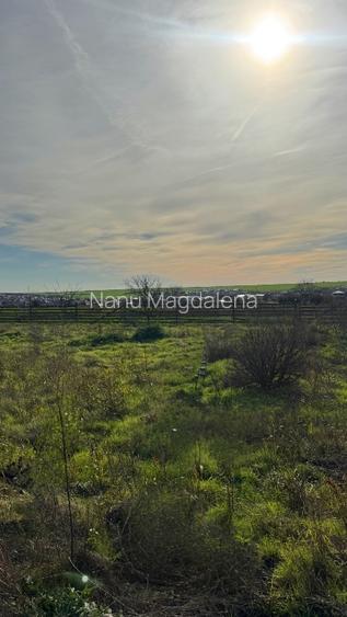 Teren intravilan cu puz Valu lui Traian pe partea dreaptă  - 3