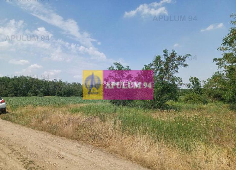 Săbăreni, teren 12620 mp pentru case, lângă pădure - 3