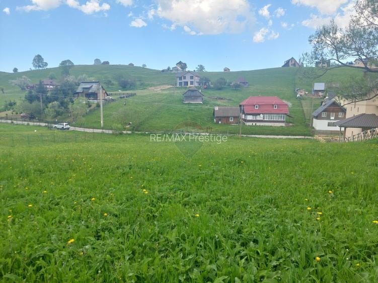 Teren 4,245mp Sirnea / Strada Principala - 3